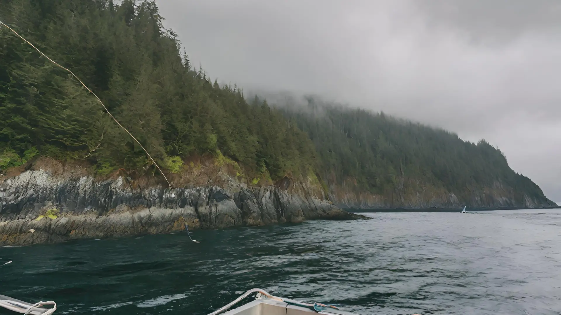 Day two of the Port Renfrew Bottom Fishing Tour :Bottom Fishing Adventure